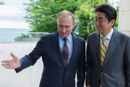 Большинство японцев негативно оценили итоги переговоров Путина и Абэ