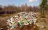 Львовские школы могут закрыть из-за «мусорного апокалипсиса»