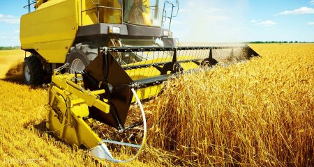 РФ увеличила экспорт сельхозпродукции на 18%