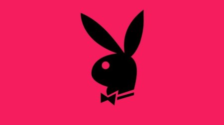 Playboy поддержал бойкот СМИ в отношении Госдумы