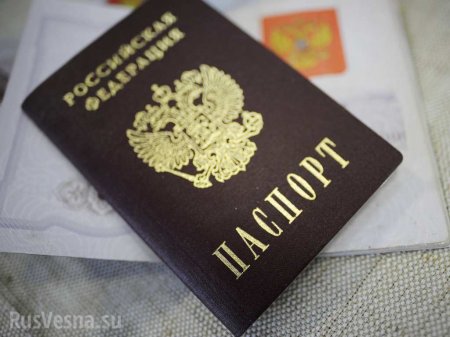 Госдума рассмотрит законопроекты, которые упростят жизнь граждан ДНР и ЛНР в России