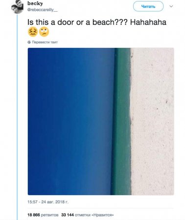 Это дверь или пляж? Летняя фотоиллюзия поссорила пользователей соцсетей