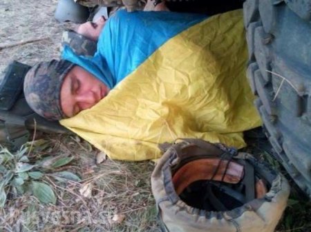 ВСУ несут потери: сводка о военной ситуации на Донбассе