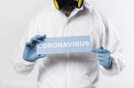 Учёные рассказали, как организм человека борется с коронавирусом