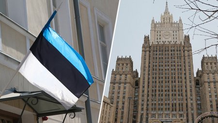 «Выполняя роль провокатора»: почему Эстония призвала другие страны ЕС снизить уровень дипотношений с Россией