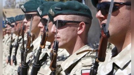 Кадровые польские военные едут воевать на Украину, а остальные поляки заявляют: «To nie nasza wojna» (ФОТО)